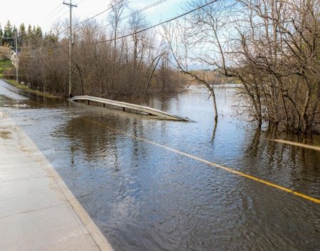 100 year floodplain map