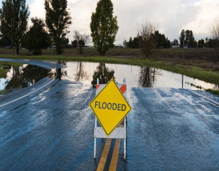 FEMA maps online