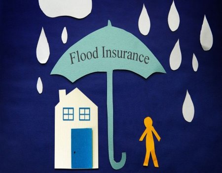 flood insurance carriers