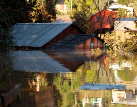 flood insurance companies
