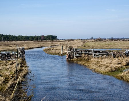 flood insurance company poquoson va