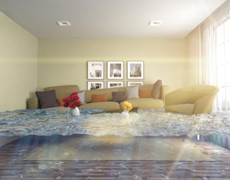 Home and Flood Insurance